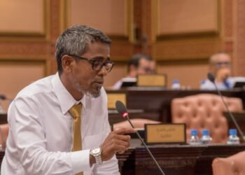 އިޒްރޭލުގެ ޕާސްޕޯޓް މައްސަލަ މި ސަރުކާރުން ލަސްކުރަމުން ދަނީ، ސީދާ އިޒްރޭލުގެ އަންގައިގެން: މެމްބަރު ޒިޔާދު