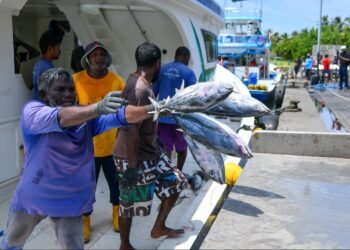 އަންނަ ހަފްތާގައި މަސްވެރިންނަށް ނުދެވި ހުރި ފައިސާ ދޭނެކަމަށް މިފްކޯއިން ބުނެފި