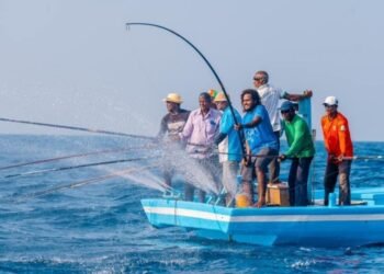 މަސްވެރިންގެ އެވޯޑު ފަރުމާކޮށްގެން 15،000ރ ހޯދުމުގެ ފުރުސަތު