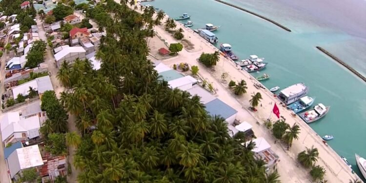 ދ. ކުޑަހުވަދޫގައި އައިޑީ ކާޑުގެ ހިދުމަތް ފަށައިފި