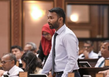 މަޖިލިސް ބޭނުންކޮށްގެން މި ސަރުކާރުން ކުރަމުން ދަނީ ހަޑިމުޑުދާރު އަމަލުތަކެއް: މީކާއިލް