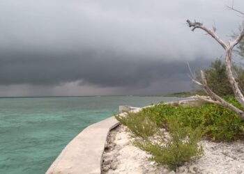 ކުރިއަށް އޮތް ހަފްތާބަންދުގައި ވިއްސާރަކުރާނެ ކަމަށް މެޓުން ބުނެފި