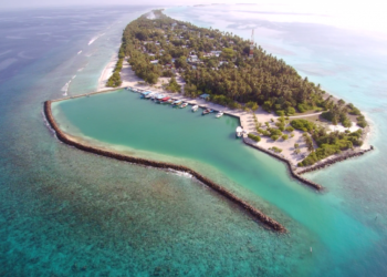 ދޯންޏެއްގެ ބުރަފަތީގައި ޖެހިގެން ކުޑަކުއްޖަކު ނިޔާވެއްޖެ