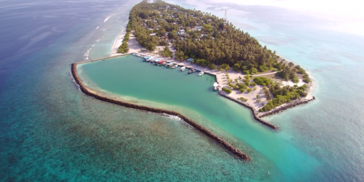 ދޯންޏެއްގެ ބުރަފަތީގައި ޖެހިގެން ކުޑަކުއްޖަކު ނިޔާވެއްޖެ