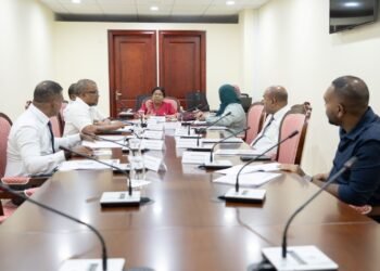 ވޭޕު މަނާކުރާ ބިލު ކޮމިޓީން ފާސްކޮށްފި