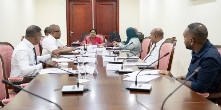 ވޭޕު މަނާކުރާ ބިލު ކޮމިޓީން ފާސްކޮށްފި