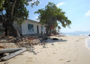 މޫސުމީ ބަދަލުތަކާއި ގުޅިގެން ލިބޭ ގެއްލުމަށް ބައިނަލްއަޤުވާމީ މުޖުތަމަޢުއިން އެހީ ފޯރު ކޮށްދިނުމަށް ދިވެހި ރާއްޖެއިން ގޮވާލައިފި