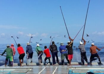 48ގަޑިއިރު ތެރޭގައި މަސްވެރިންނަށް ފައިސާ ލިބޭނެ ގޮތް ހަމަޖައްސަވައިފި