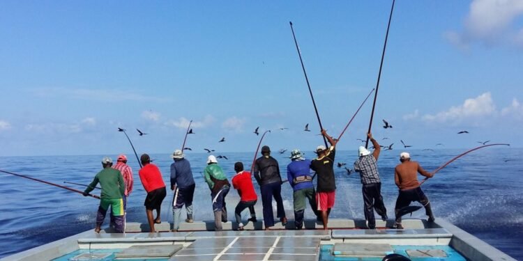 48ގަޑިއިރު ތެރޭގައި މަސްވެރިންނަށް ފައިސާ ލިބޭނެ ގޮތް ހަމަޖައްސަވައިފި