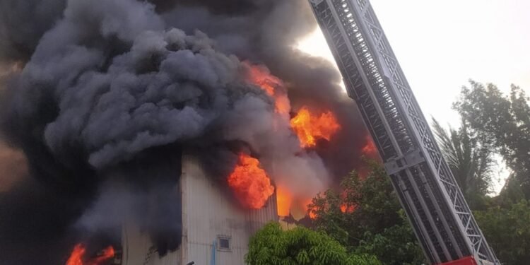 އަލިފާނުގެ ހާދިސާ ތަހުޤީގުކުރަން އައި އިންޑިއާގެ ޙާއްސަ ޓީމް ފުރައިފި