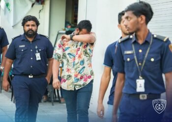 އިމިގްރޭޝަން ވޮޗަށް 1017 މައްސަލަ