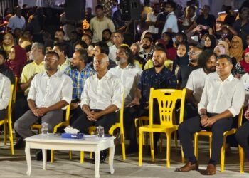 އެމްޑީޕީއާ ޑިމޮކްރެޓުން ގުޅިގެން މަސައްކަތް ކުރުމަށް  އެއްބަސްވެއްޖެ