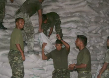 2004 ވަނަ އަހަރުގެ ސުނާމީ ކާރިސާއަށް ފަހު ޤައުމު އާރާސްތުކުރުމުގައި ދިވެހިޤައުމީ ދިފާޢީ ބާރު