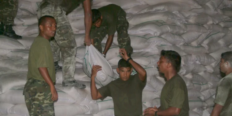 2004 ވަނަ އަހަރުގެ ސުނާމީ ކާރިސާއަށް ފަހު ޤައުމު އާރާސްތުކުރުމުގައި ދިވެހިޤައުމީ ދިފާޢީ ބާރު