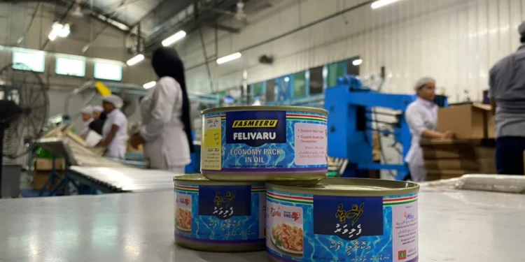 ރޯދައަށް ހިލޭ ބަހާ މަސް ދަޅުން 40ގ މަސް އުންޏެއް ނުވާނެ، ފަތުރަނީ ދޮގުވާހަކަތަކެއް : މިފްކޯ