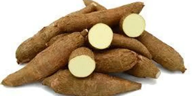 ދަނޑިއަލުވި އިންދާ ހައްދާނެ ގޮތް