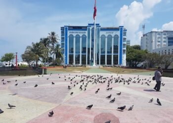 ޓޫރިސްޓެއްގެ ގައިގާ ލޯންޗަކުން ޖެހިގެން  މަރުވެއްޖެ  