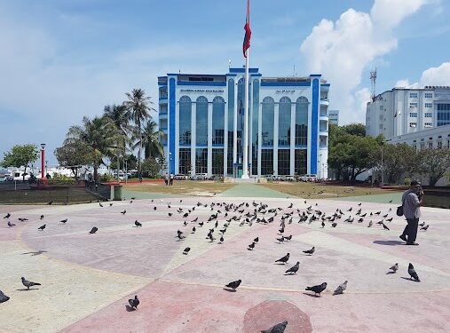 ޓޫރިސްޓެއްގެ ގައިގާ ލޯންޗަކުން ޖެހިގެން  މަރުވެއްޖެ  