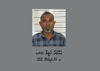 ކަމަދޫއަށް މަސްތުވާތަކެތި އެތެރެކުރަން އުޅުނު އުމުރުން 50 އަހަރުގެ މީހަކު ހައްޔަރުކޮށްފި