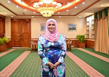 ބްރޯޑްކޮމްގެ ރައީސާއަކަށް ޞަފާ އިންތިހާބުކޮށްފި