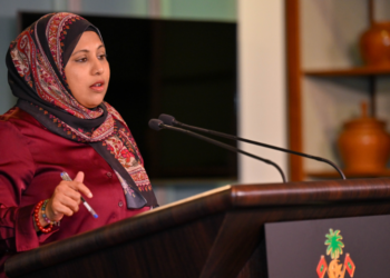 ނޫސްވެރިކަމާއި އިންޓަރނެޓް ރެގިއުލޭޓް ކުރުމާ ބެހޭ ބިލެއް ގެ މަސައްކަތެއް ސަރުކާރުން ނުކުރޭ – ތަރުޖަމާން ހީނާ