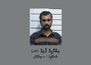 ސްޓްލްކޯގެ ޓްރާންސްފޯމަރ އަކަށް ގެއްލުންދީ ވައްކަންކުރަން އުޅުނު މީހާ ހައްޔަރުކޮށްފި