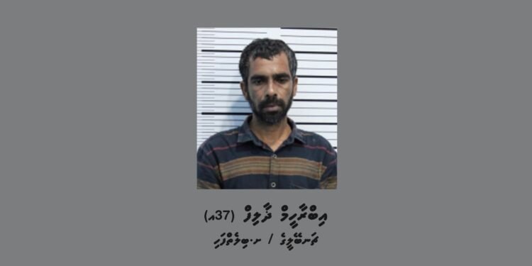 ސްޓްލްކޯގެ ޓްރާންސްފޯމަރ އަކަށް ގެއްލުންދީ ވައްކަންކުރަން އުޅުނު މީހާ ހައްޔަރުކޮށްފި