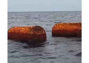 ދަގަނޑު ބޮޔެއް އޮޔާދާތީ ސަމާލުވުމަށް އެމް އެން ޑީ އެފްއިން އަންގައިފި