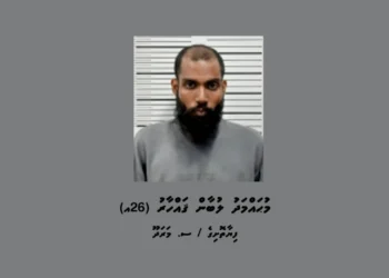މާރާމާރީ ހިންގަން އުޅުނު ކަމުގެ ތުހުމަތުގައި މީހަކު ހައްޔަރުކޮށްފި