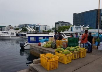 ރޯދަމަހު މާލެ ސަރަހައްދުގައި މުދާ އުފުލޭނެ ވަގުތުތައް ކަނޑައަޅައިފި