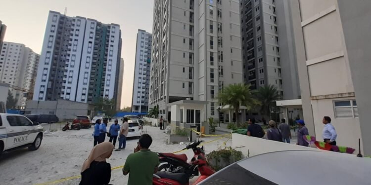 ސްޓެލްކޯ ޓަވަރަކުން ޒުވާނަކު ވެއްޓި ނިޔާވެއްޖެ