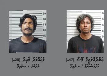 މަސްތުވާތަކެއްޗާއެކު ވެލިދޫން ދެ މީހަކު ހައްޔަރުކޮށްފި