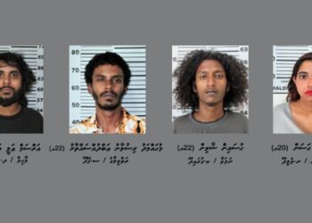 ވައިގެ މަގުން ހަނިމާދޫއަށް މަސްތުވާތަކެތި އެތެރެކުރަން އުޅުނުކަމުގެ ތުހުމަތުގައި ހަތަރު މީހަކު ހައްޔަރުކޮށްފި