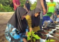 ވިޔަފާރި އުސޫލުން ދަނޑުވެރިކަން ކުރާ ފަރާތްތަކުގެ ދަފްތަރެއް އެކުލަވާލަނީ