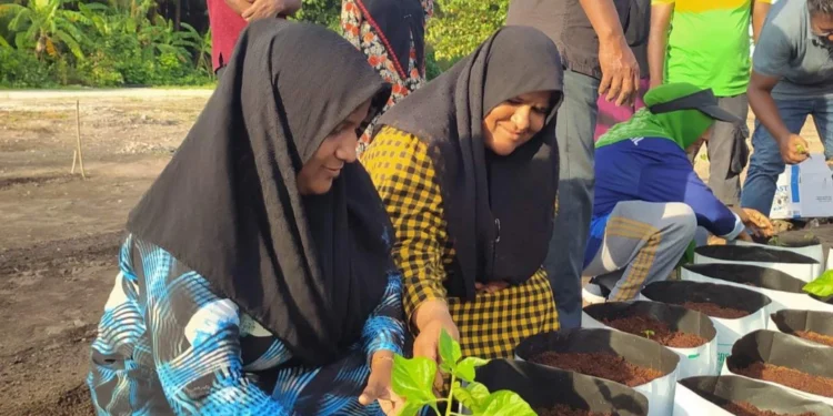 ވިޔަފާރި އުސޫލުން ދަނޑުވެރިކަން ކުރާ ފަރާތްތަކުގެ ދަފްތަރެއް އެކުލަވާލަނީ