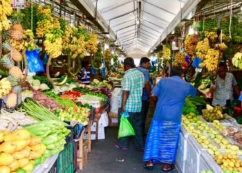 މޭވާ އާއި ތަރުކާރީ އަތްފޯރާ ފަށަށް އަގު ހެޔޮ ކުރެއްވުމަށް މަސައްކަތްތަކެއް ކުރައްވަން ފައްޓަވައިފި