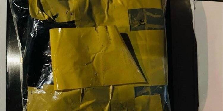 ވިލިނގިއްޔަށް އެތެރެކުރަން އުޅުނު މަސްތުވާތަކެތި ހޯދައި ފުލުހުންގެ ބެލުމުގެ ދަށަށް ގެނެސްފި