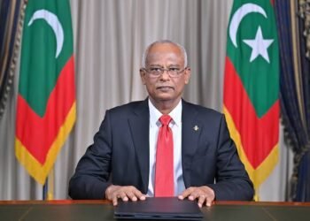 އެމްޑީޕީއަށް ތާއީދުކުރާ ވެމްކޯ ދެ މުވައްޒަފުން ވަޒީފާއިން ވަކިކުރުމުން ކުރީގެ ރައީސް ސޯލިޙު ކަންބޮޑުވުން ފާޅުކުރައްވައިފި