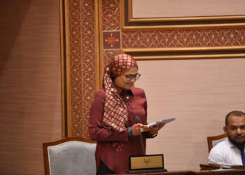 މަހަކު ބުޅަލަކަށް 368 ރުފިޔާ ޚަރަދު ވާނެ – ވަޒީރު މަރިޔަމް މާރިޔާ