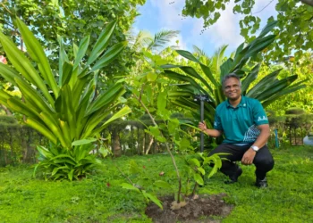 މާލޭގެ ފަޅުތެރޭން ދުވާލަކަށް 100 ބޮޑުކޮތަޅުގެ ކުނި އަދި މާލޭގެ މަގުމަތިން ދުވާލަކަށް 30 ޓަނުގެ ކުނިނަގަންޖެހޭ: މޭޔަރ ޢާޒިމް