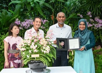 ރައީސުލްޖުމްހޫރިއްޔާގެ ދެކަނބަލުންގެ ނަންފުޅަށް ނިސްބަތްކޮށް ސިންގަޕޫރުގައި އޯކިޑް ގަހަކަށް ނަން ދީފި