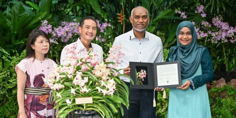 ރައީސުލްޖުމްހޫރިއްޔާގެ ދެކަނބަލުންގެ ނަންފުޅަށް ނިސްބަތްކޮށް ސިންގަޕޫރުގައި އޯކިޑް ގަހަކަށް ނަން ދީފި