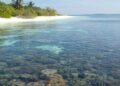 ދުނިޔޭގެ ތިމާވެށީގެ ދުވަސް ފާހަގަ ކުރުމަށް ޚާއްސަ ފެސްޓިވަލަކާއި، ފޯރަމެއް ބާއްވަނީ