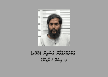 ހުޅޫމާލޭގައި ޕާކްކޮށްފައިހުރި ވެހިކަލްތަކަކުން ވައްކަން ކުރަން އުޅުނު މީހަކު ހައްޔަރުކޮށްފި