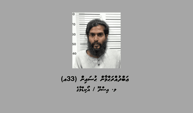 ހުޅޫމާލޭގައި ޕާކްކޮށްފައިހުރި ވެހިކަލްތަކަކުން ވައްކަން ކުރަން އުޅުނު މީހަކު ހައްޔަރުކޮށްފި