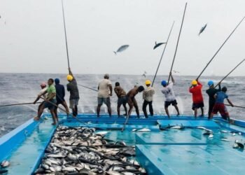 ރާއްޖޭގެ މަސްވެރިކަން ކުރިއެރުވުމާއި ގުޅޭ ގޮތުން ސަޢުދީ އެކު މަޝްވަރާކޮށްފި  