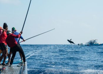 މުނިފޫހިފިލުވުމުގެ ގޮތުން މަސްވެރިކަންކުރާ ފަރާތްތަކަށް ބާއްވާ މަސައްކަތު ބައްދަލުވުން މާދާމާ ބޭއްވުމަށް ނިންމައިފި