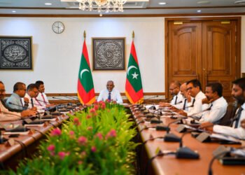 އެސްޑީ އެފްސީގައި އޮންނަ ސަރުކާރުގެ ޙިއްސާ ބީއެމްއެލް އަށް ވިއްކާލުމަށް ނިންމައިފި