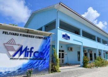 މިފްކޯގެ އުފެއްދުންތައް ގަތުމަށް އިނގިރޭސި ވިލާތުގެ ކުންފުންޏަކާއި އެކު ސޮއިކޮށްފި