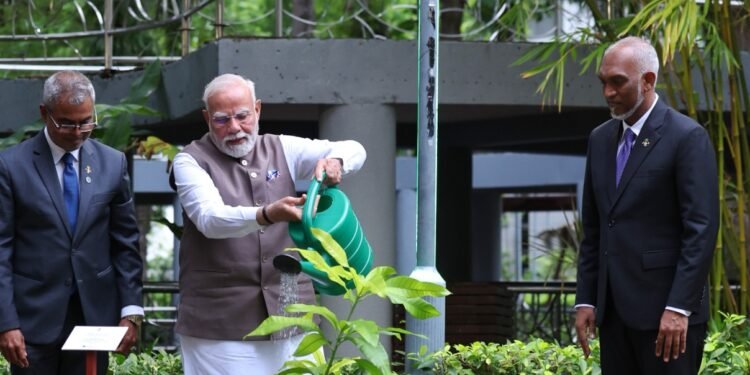 ފަސްމިލިއަން ގަސް އިންދުމުގެ ޕްރޮގްރާމްގައި ބޮޑުވަޒީރު މޯދީ ބައިވެރިވެ ވަޑައިގެންފި